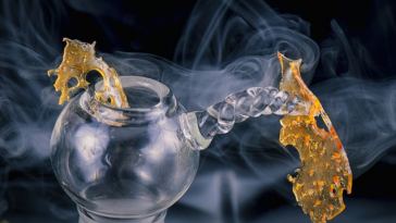 cannabis concentrates