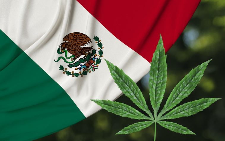 mexican-lawmakers-advance-bill-to-legalize-recreational-cannabis