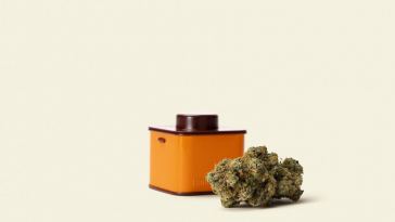 6-new-weed-products-you-should-try-from-houseplant,-g-pen,-and-more