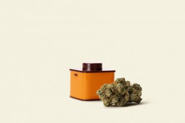 6-new-weed-products-you-should-try-from-houseplant,-g-pen,-and-more