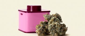 seth-rogen’s-new-houseplant-cannabis-unboxed-and-reviewed