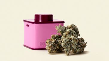 seth-rogen’s-new-houseplant-cannabis-unboxed-and-reviewed