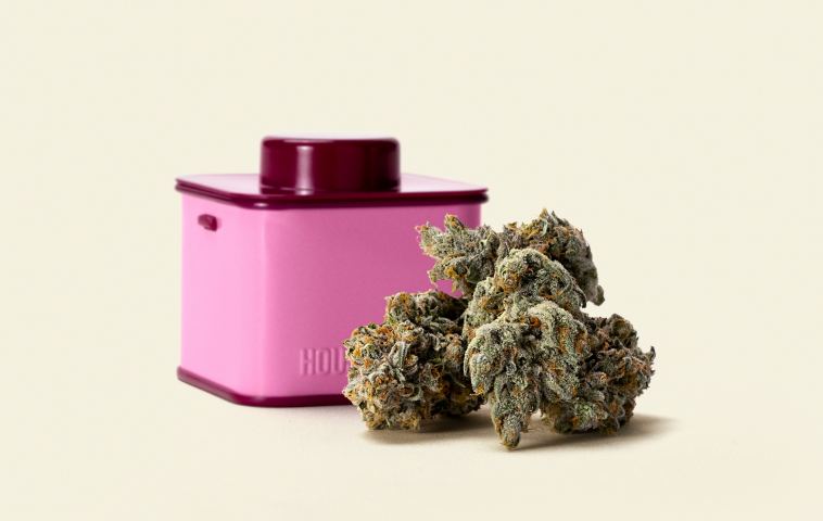 seth-rogen’s-new-houseplant-cannabis-unboxed-and-reviewed