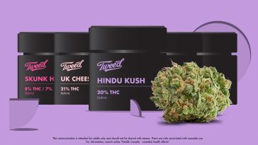 tweed’s-got-all-your-favourite-strains-this-420