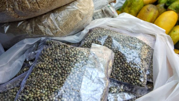 grow-landrace-cannabis-strains-with-‘fair-trade’-seeds-from-the-source