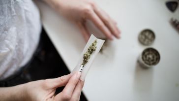 woman rolling joint