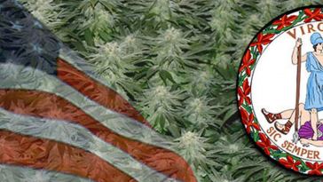 growing-marijuana-in-virginia