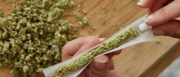 7-pre-ground,-ready-to-roll-weed-packs-worth-trying