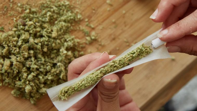 7-pre-ground,-ready-to-roll-weed-packs-worth-trying