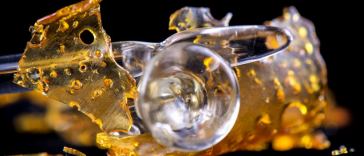 cannabis concentrates