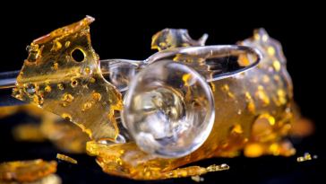 cannabis concentrates