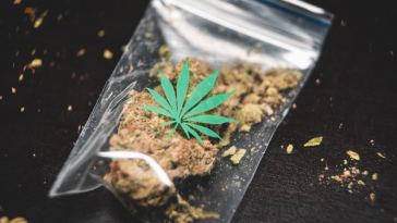 online weed delivery