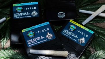5-new-weed-products-to-try-from-griz,-glass-house-farms,-and-more