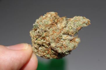 best marijuana strain for you