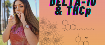 want-to-try-hot,-new-cannabinoids-like-delta-10-&-thcp?-it-pays-to-have-a-friend-like-bay-smokes