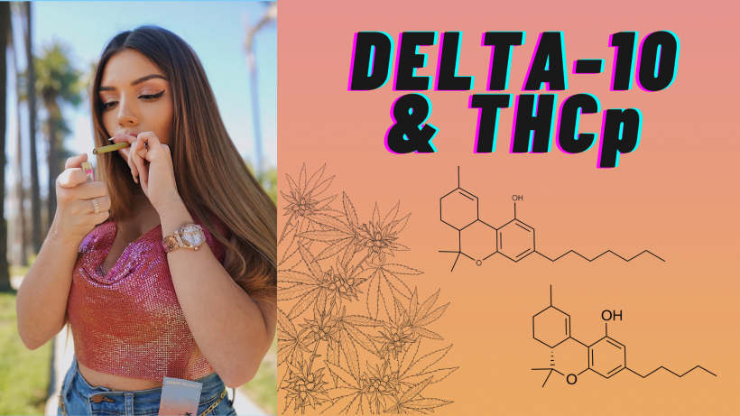 want-to-try-hot,-new-cannabinoids-like-delta-10-&-thcp?-it-pays-to-have-a-friend-like-bay-smokes