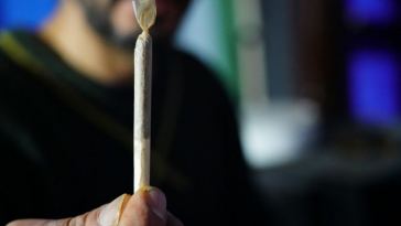 cannabis joint