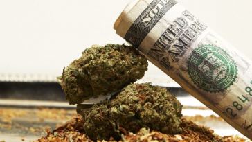 cannabis profits