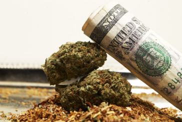 cannabis profits