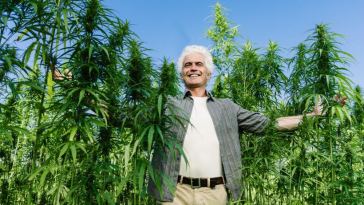 senior cannabis