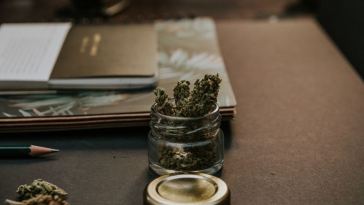 best weed delivery service