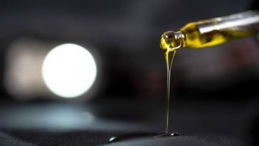 cbd oil