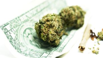 high paying cannabis jobs