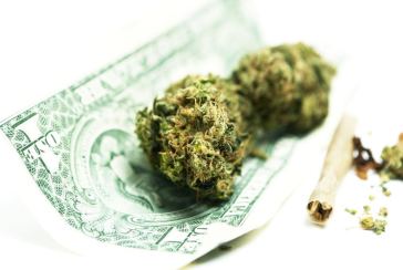 high paying cannabis jobs