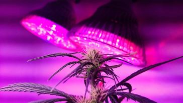 led lighting