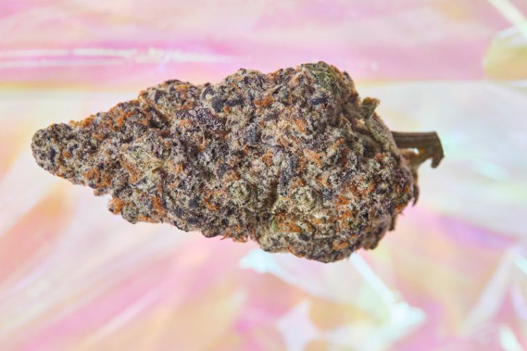 the-5-best-1:1-thc:cbd-strains-for-a-balanced-high