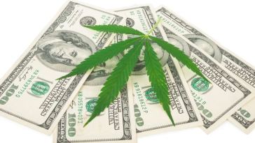 cannabis capital raising tips