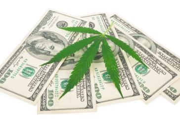 cannabis capital raising tips