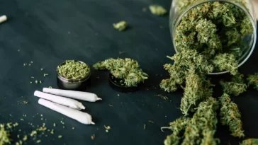 marijuana