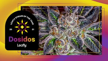 the-roll-up-#221:-the-2021-strain-of-the-year-is…