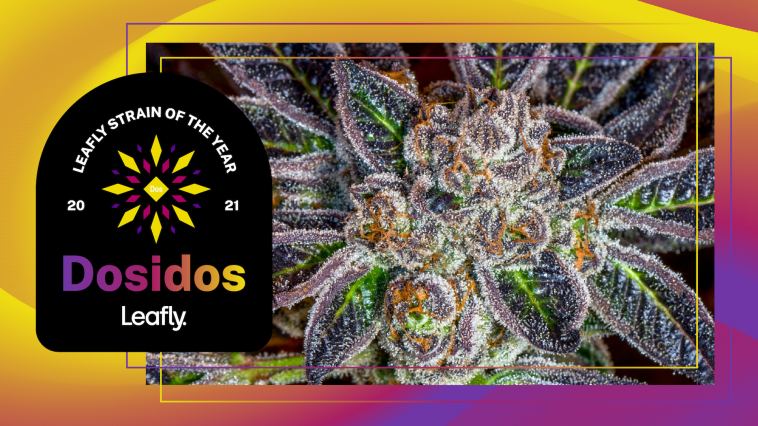 the-roll-up-#221:-the-2021-strain-of-the-year-is…