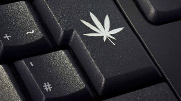 misconceptions-of-buying-weed-online