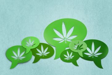 how-to-talk-weed-with-your-parents-during-the-holidays