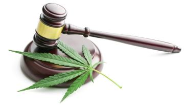 marijuana business legal requirements