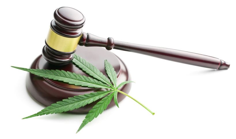 marijuana business legal requirements