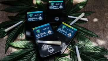 we-tried-it:-glass-house-farms-x-field-extracts-live-resin-pre-rolls