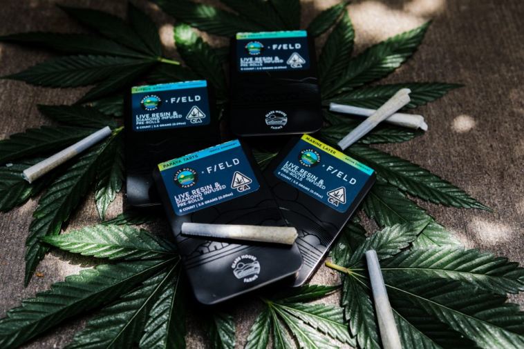we-tried-it:-glass-house-farms-x-field-extracts-live-resin-pre-rolls