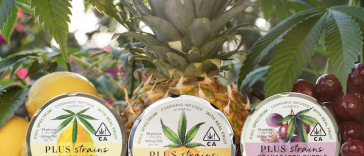 we-tried-it:-plus-strains-gummies