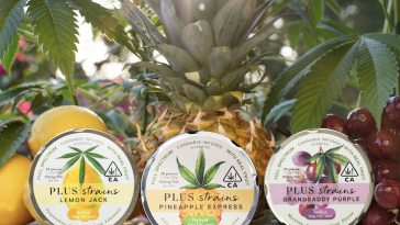 we-tried-it:-plus-strains-gummies