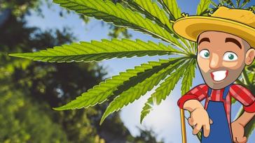 outdoor-marijuana-grow-calendar