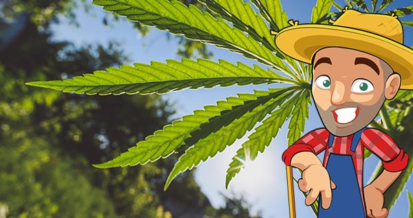 outdoor-marijuana-grow-calendar