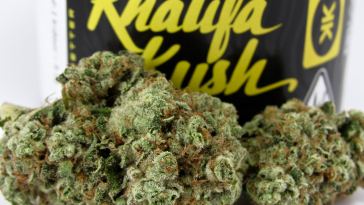 wiz-khalifa’s-‘khalifa-kush’-cannabis-cultivar-unboxing-and-review-2022