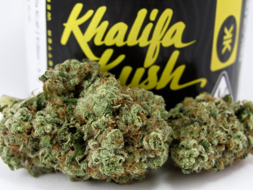 wiz-khalifa’s-‘khalifa-kush’-cannabis-cultivar-unboxing-and-review-2022