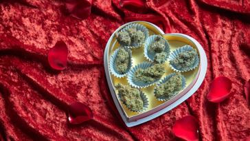 7-last-minute-valentine’s-day-gifts-for-cannabis-lovers 