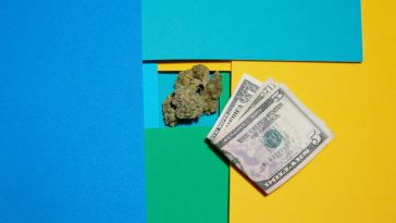 ask-a-budtender:-could-a-tolerance-break-help-me-save-money?