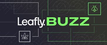 leafly-buzz:-12-most-lit-cannabis-strains-of-february-2022